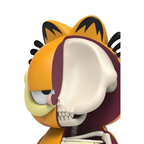 Garfield XXRAY Plus Dissected 8