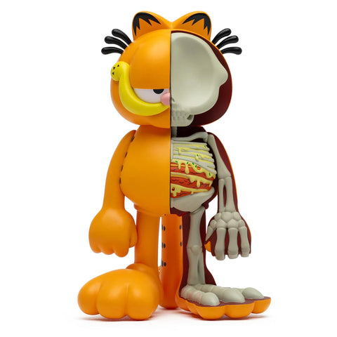 Garfield XXRAY Plus Dissected 8" Figure by Mighty Jaxx