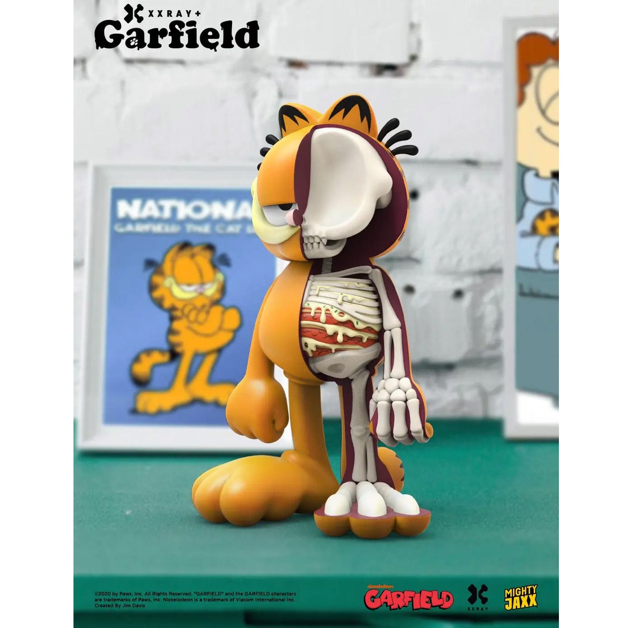 Garfield XXRAY Plus Dissected 8