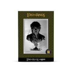 THE LORD OF THE RINGS - Frodo's Journey 5 g Silver Collectible Foil by Agoro