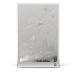 Harry Potter and the Philosopher's Stone Movie Poster Silver Collectible by Agoro