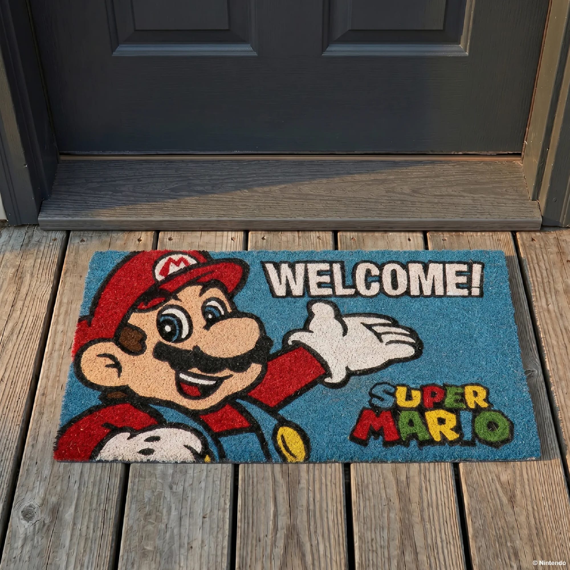 Super Mario Portrait 29