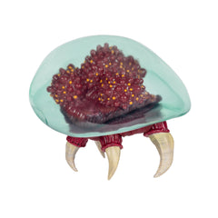 Metroid Alien Nintendo 6