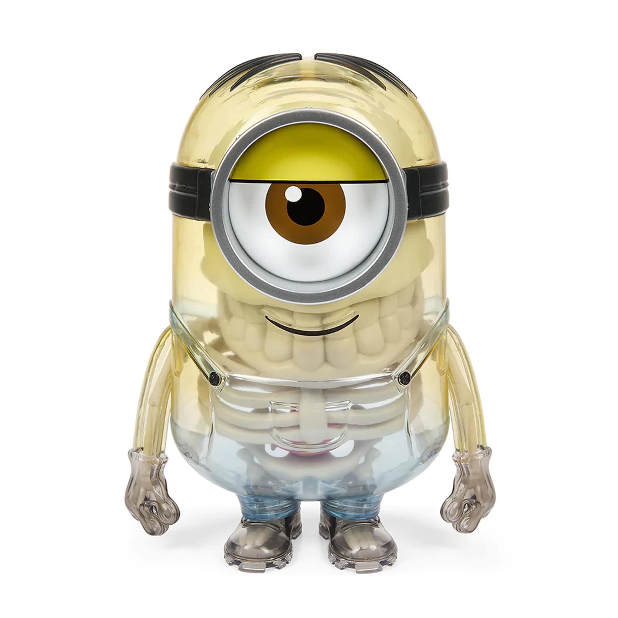 Minions Anatomy 8