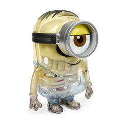 Minions Anatomy 8