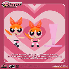 The Powerpuff Girls 5 Points Deluxe Action Figure Set of 4 by Mezco Toyz
