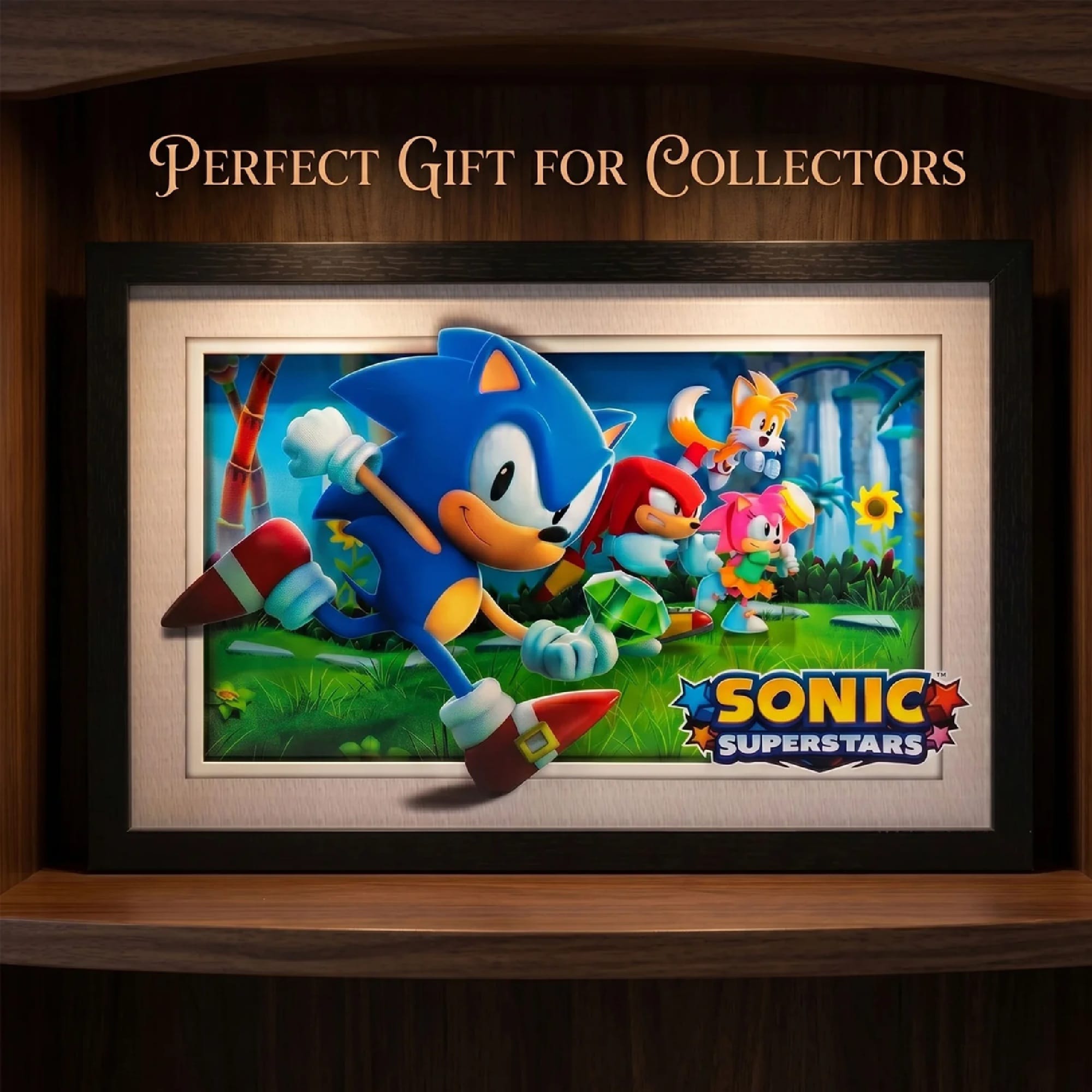 Sonic Superstars Running 11