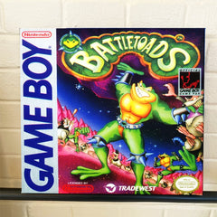 Battletoads Nintendo Gameboy Cover Art Gallery Wrapped Canvas 12x12